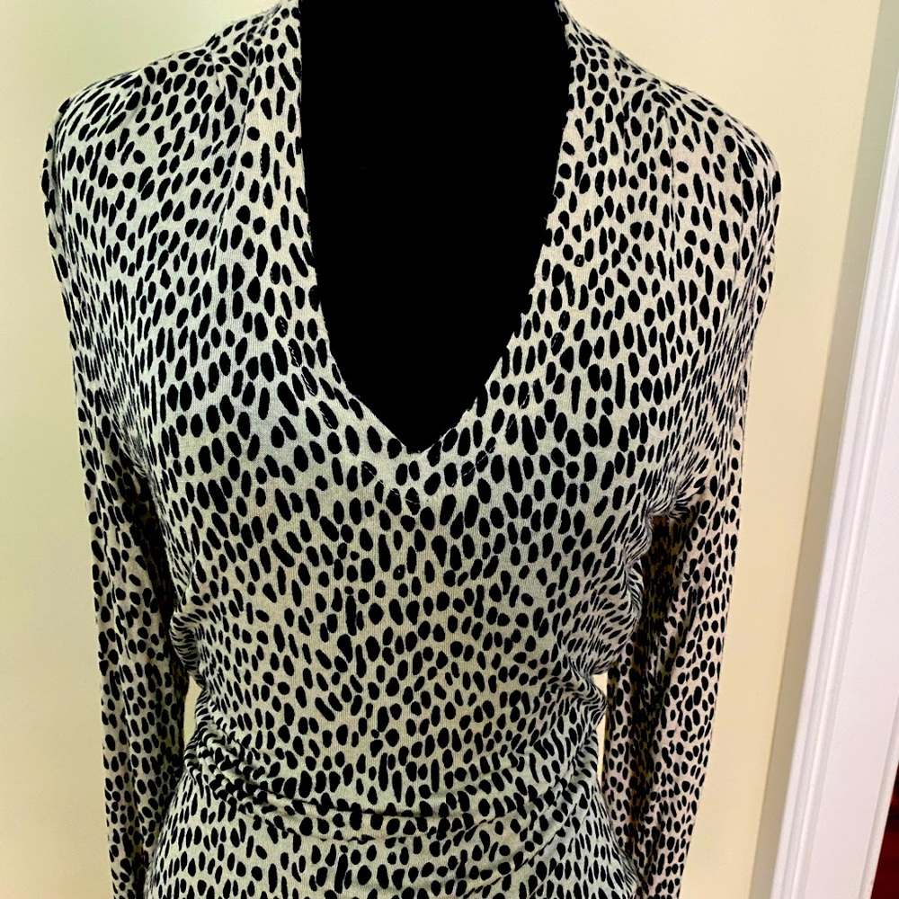 EUC Banana Republic V-Neck Leopard Print Sweater